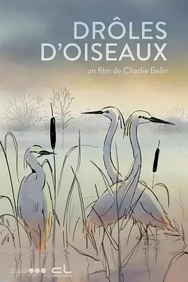马仪亮介绍春节档电影为地方文旅带来增量除电影直接呈现的城市及景点外，影片取景及拍摄所在的影视基地也成为文旅热门。